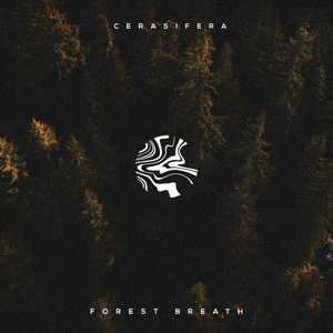 法国黄色淫税秽网站
